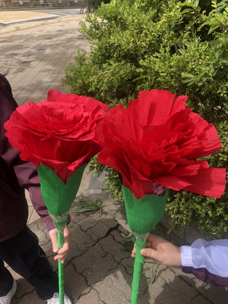  서프라이즈, 어버이날