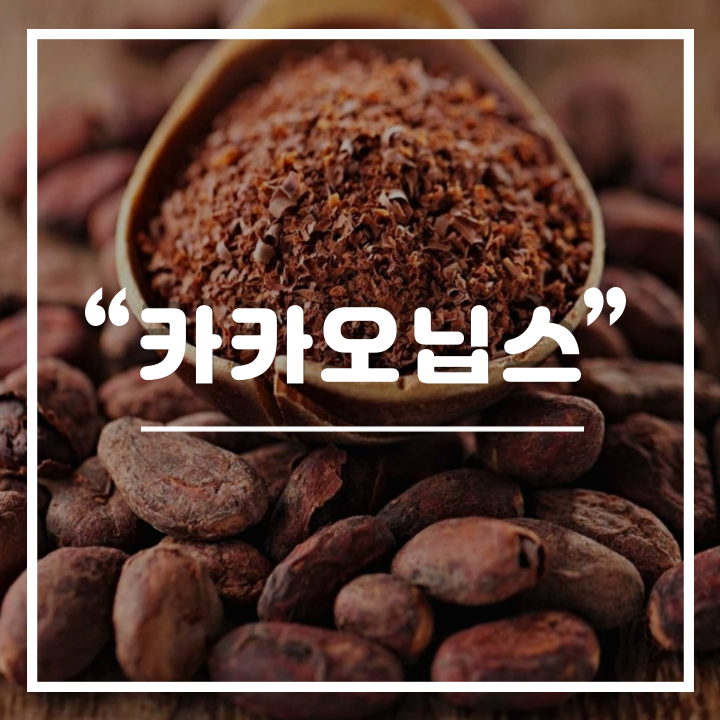  세계 3대 항산화 식품, 카카오닙스 효능 및 먹는법 : 카카오닙스 차
