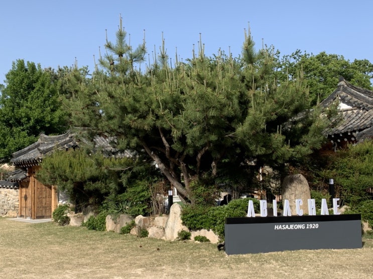  아비아채하사정 울산주전강동 한옥카페 솔직후기