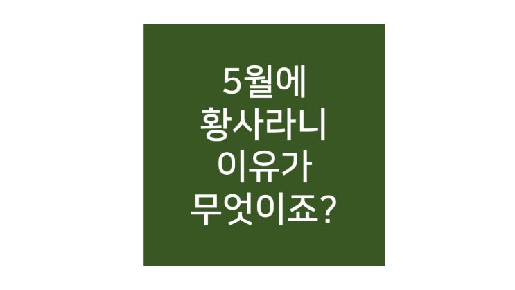  전국에 황사, 미세먼지 경보 이유가 무엇이죠? (feat.황사경보단계)