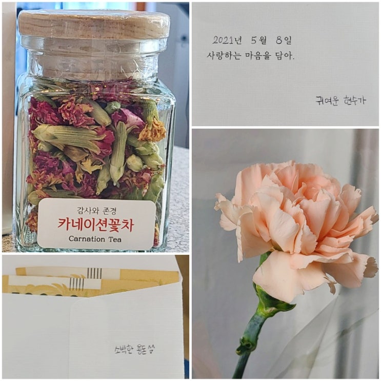  어버이날 선물 카네이션 꽃차 효능 고양이에겐 위험