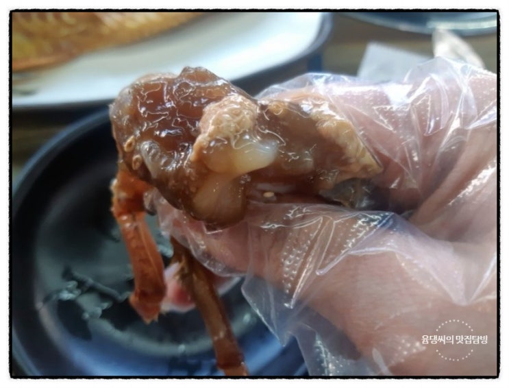  내가 가본 제주 현지인 맛집 어머니와 장독대 서귀포점에서 가족모임 강추!