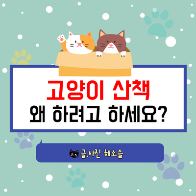 고양이 산책, 왜 하려고 하세요?