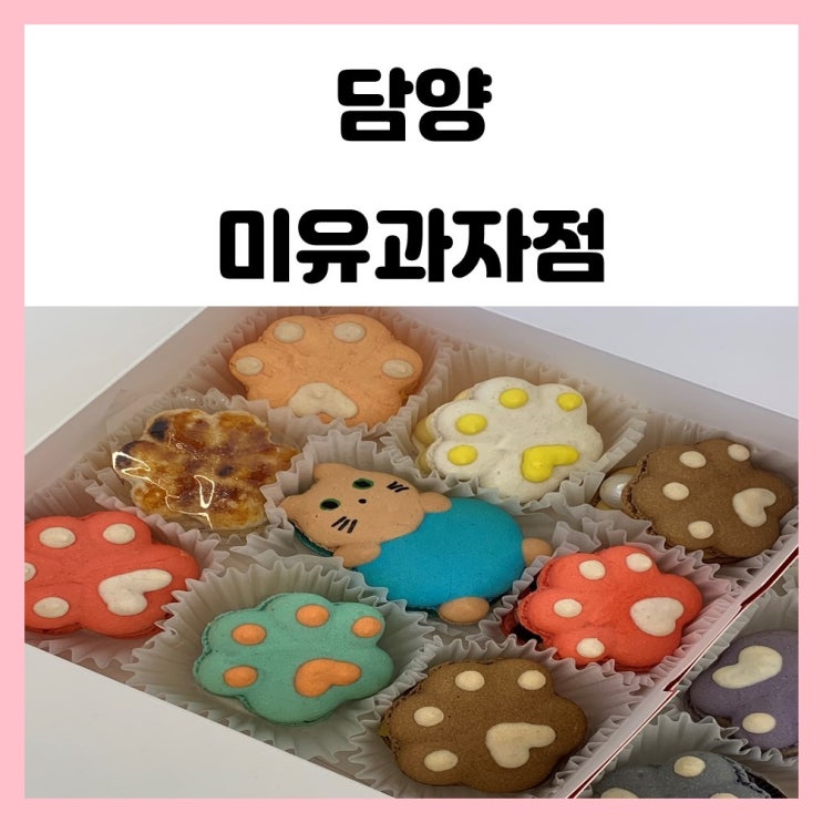 담양 마카롱 미유과자점 고양이 발바닥 너무 귀여워 담양 마카롱 미유과자점 고양이 발바닥 너무 귀여워