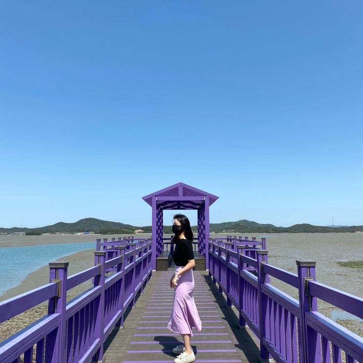  신안 퍼플섬(퍼플교)에 퍼플옷 입고 가서 퍼플공주된 날 with 꽃피는 무하가에서 밥까지