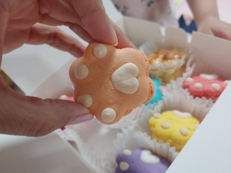  담양 마카롱 맛집 미유과자점