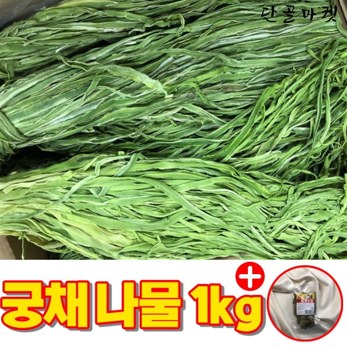 최근 인기있는 최근 인기있는