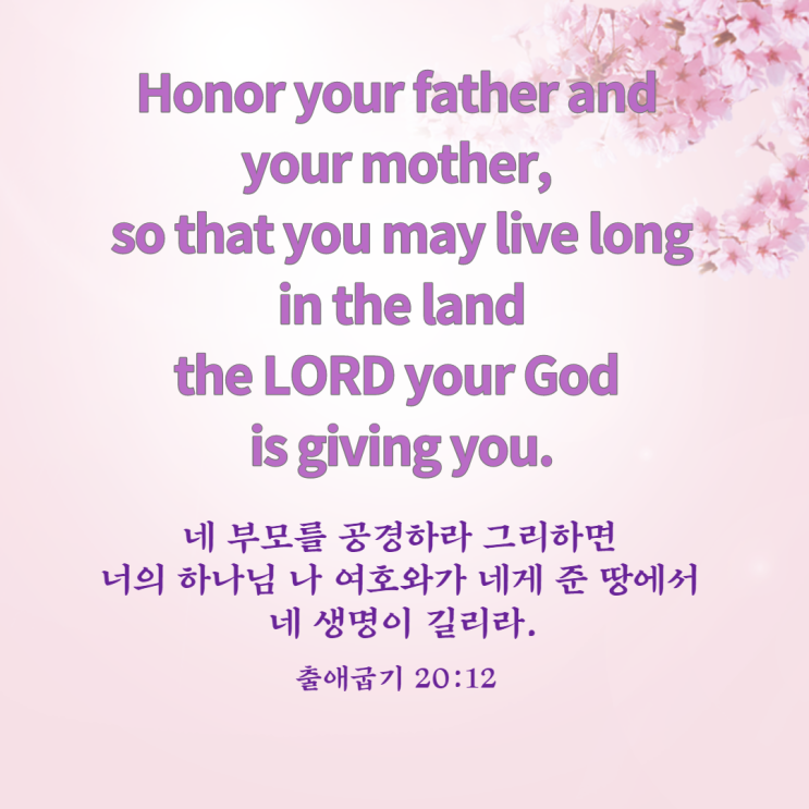  어버이날을 위한 영어성경구절, 네 부모를 공경하라.