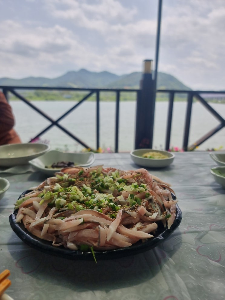  삼랑진 낙동강 봄 제철 웅어회