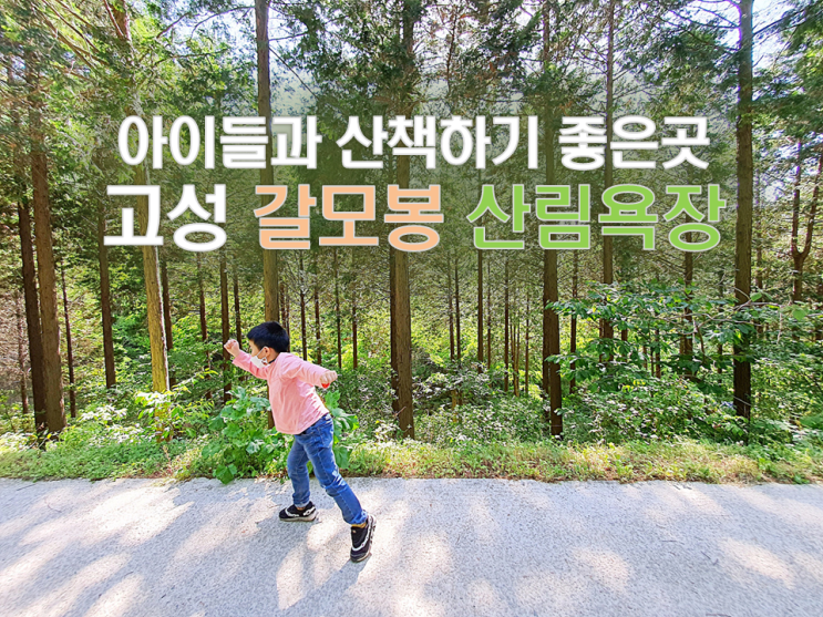  고성 갈모봉 산림욕장 가족 나들이 추천 아이들과 가볼만한곳