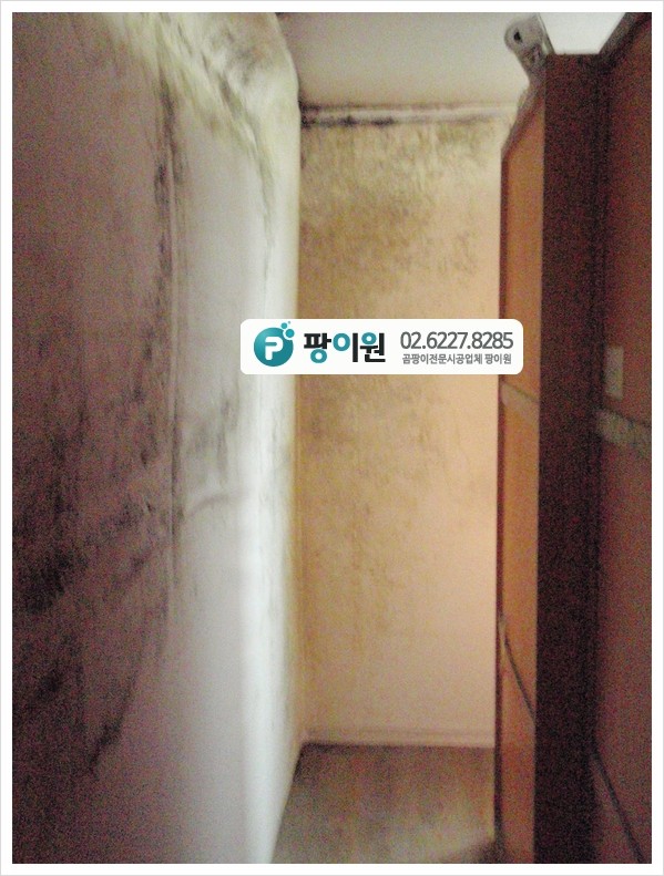  장롱 가구 뒤 벽 곰팡이제거 완전 해결!