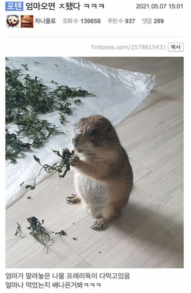  어버이날 대참사