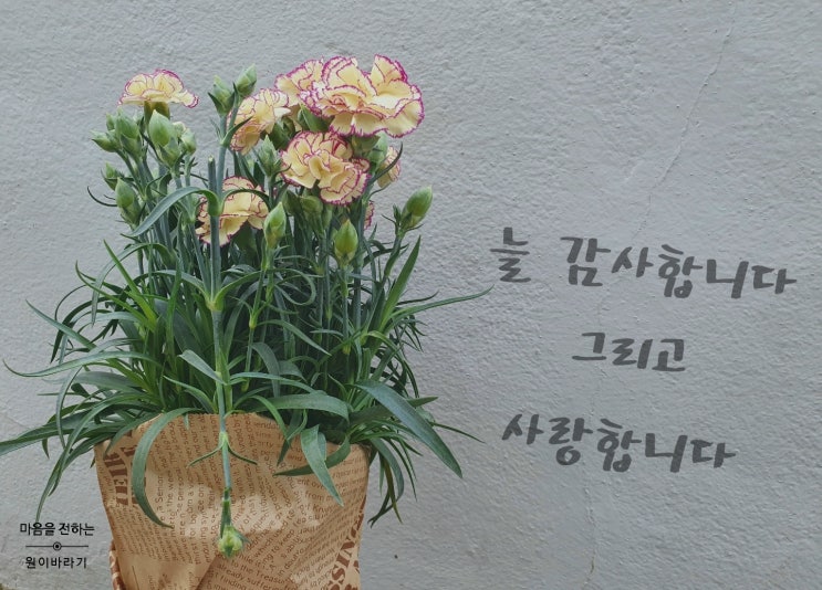  카드와 표창장으로 준비한 어버이날 선물