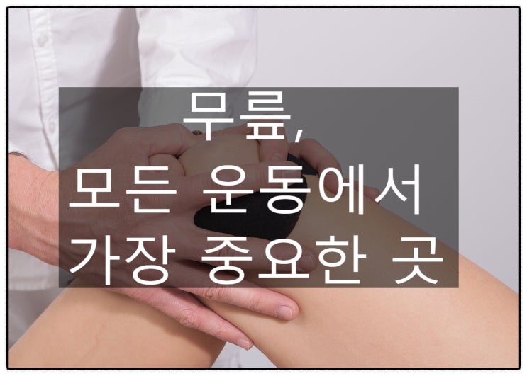  무릎, 모든 운동에서 가장 중요한 곳