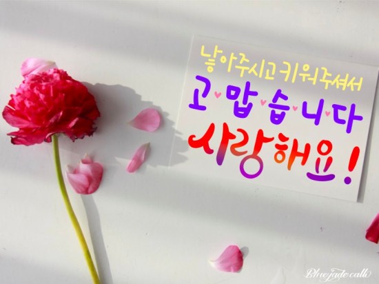  [좋은글]천천히 쉬었다가요 