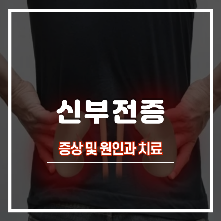  급성 만성 신부전증 증상 및 원인과 치료 방법 : 만성 신부전 식단 추천