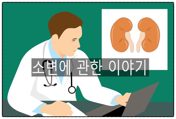  소변에 관한 이야기