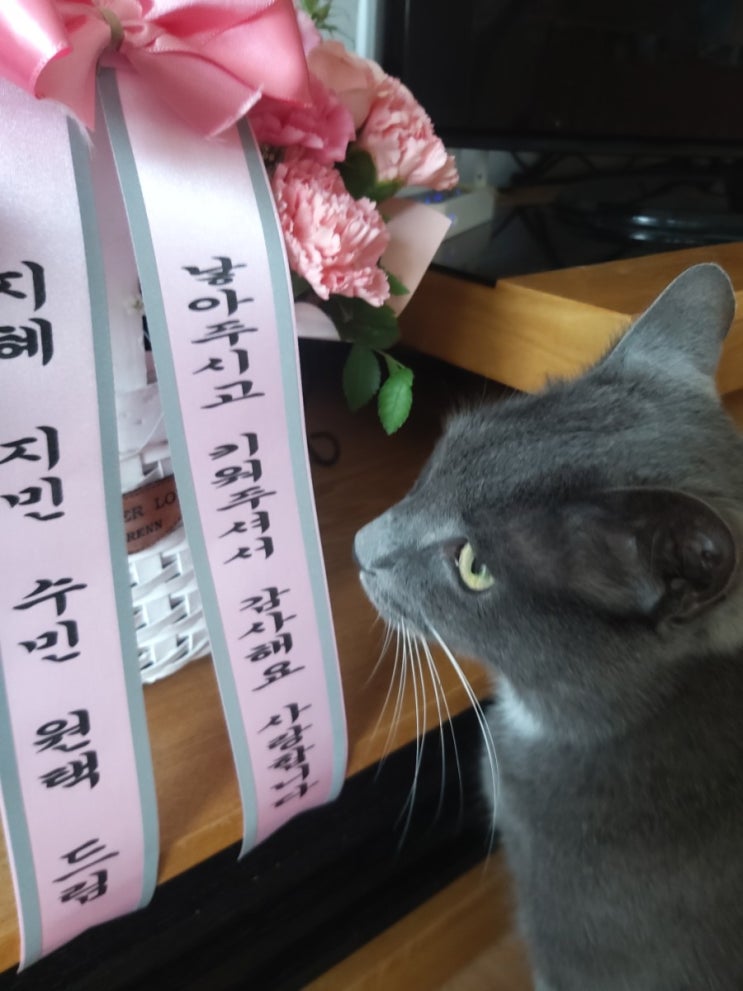  #오늘일기_ 2021.5.8어버이날️