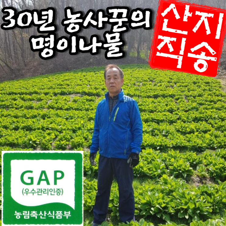 선택고민 해결 명이나물 강원도 홍천 산마늘 자연산 울릉도 고랭지 잎명이 대명이 1kg 2kg, 대명이(대포함)-1kg 추천합니다 선택고민 해결 명이나물 강원도 홍천 산마늘 자연산 울릉도 고랭지 잎명이 대명이 1kg 2kg, 대명이(대포함)-1kg 추천합니다