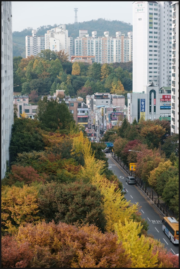 작년 가격에 아파트 산다..!! 경매에 대해 잘 못 알고 있는 오해...!!