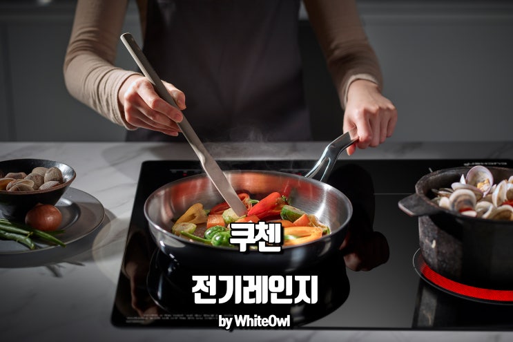  전기레인지 추천 하이브리드 인덕션으로 실내 요리!