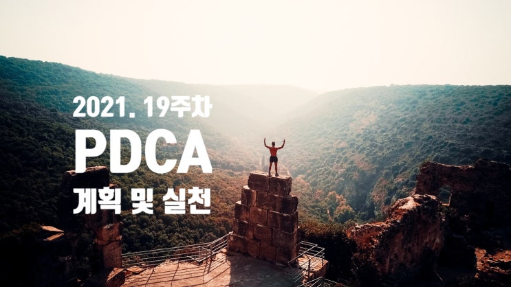  2021년 계획과 실천 19주차 점검