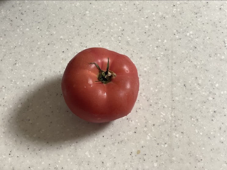  오늘의 다이어트식단 + 이 아닌가?