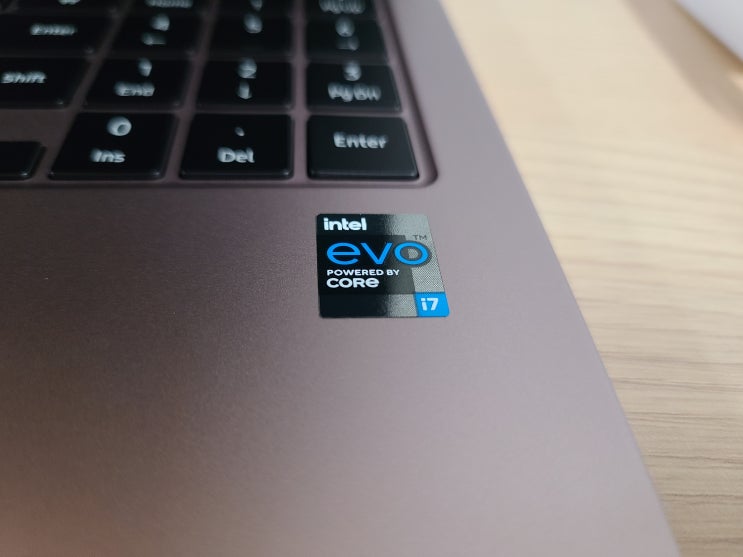  [파이어스트라이크 점수] 갤럭시북 프로 360: i7-1165G7@2.8GHz #인텔아이리스Xe #인텔EVO #벤치마크
