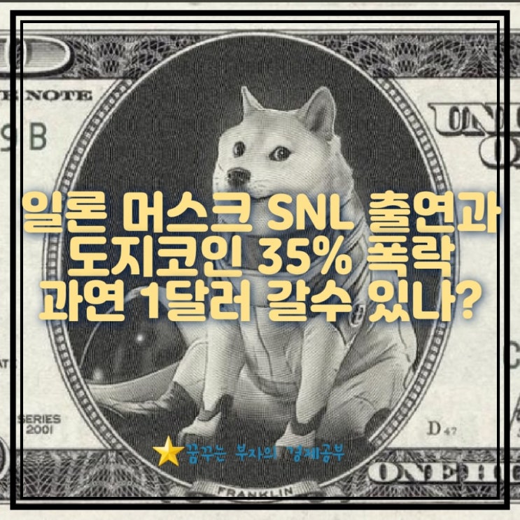  일론 머스크 SNL출연과 도지코인 폭락 -35% / 과연 1달러 가나?