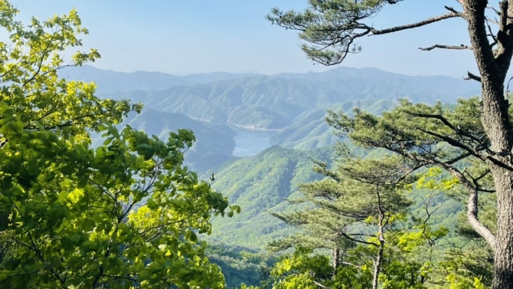  춘천 오봉산 배후령 코스 - 블야100대명산 나홀로등반( 원점회귀)