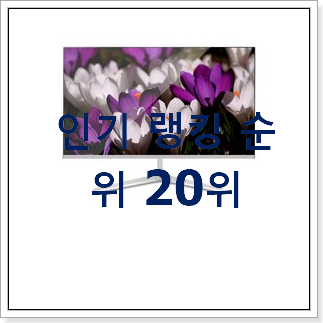 자랑스런 게이밍모니터 꿀템 인기 BEST 순위 20위