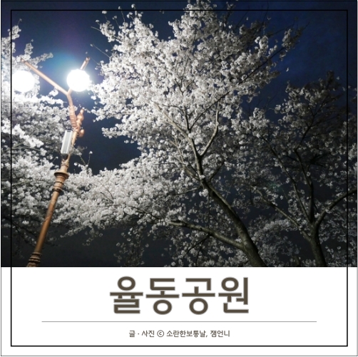  분당 율동공원 야경보며 산책하기 좋은 곳 / 주차 요금 꿀팁