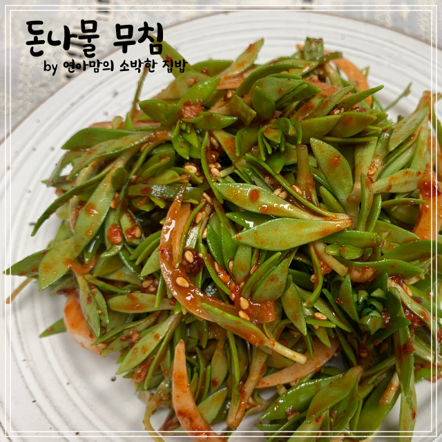  돈나물무침 돌나물무침과 효능 새콤달콤 입맛살리는 봄나물 반찬 요리