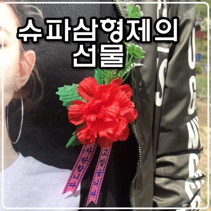  [어버이날 선물] 감동의 편지와 카네이션, '사랑한다 슈파 삼형제'