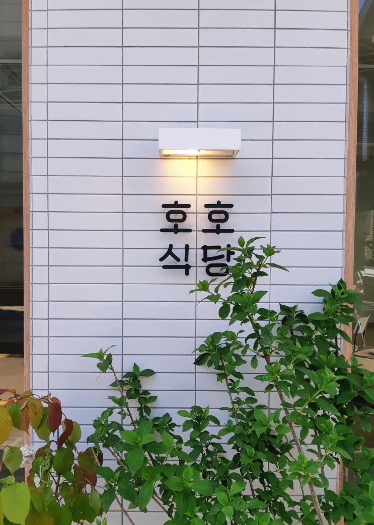  [맛집] 호호식당 도산공원점 @압구정로데오역·도산공원 (#일식 #사케동 #히레가츠정식)