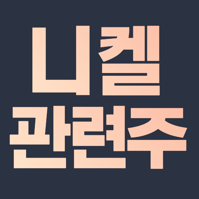  니켈 관련주 총 정리 대장주 니켈 가격 급등
