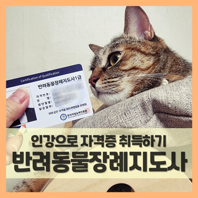  반려동물장례지도사 자격증 무료 인강으로 취득 가능해요 (f. 한국직업능력진흥원)