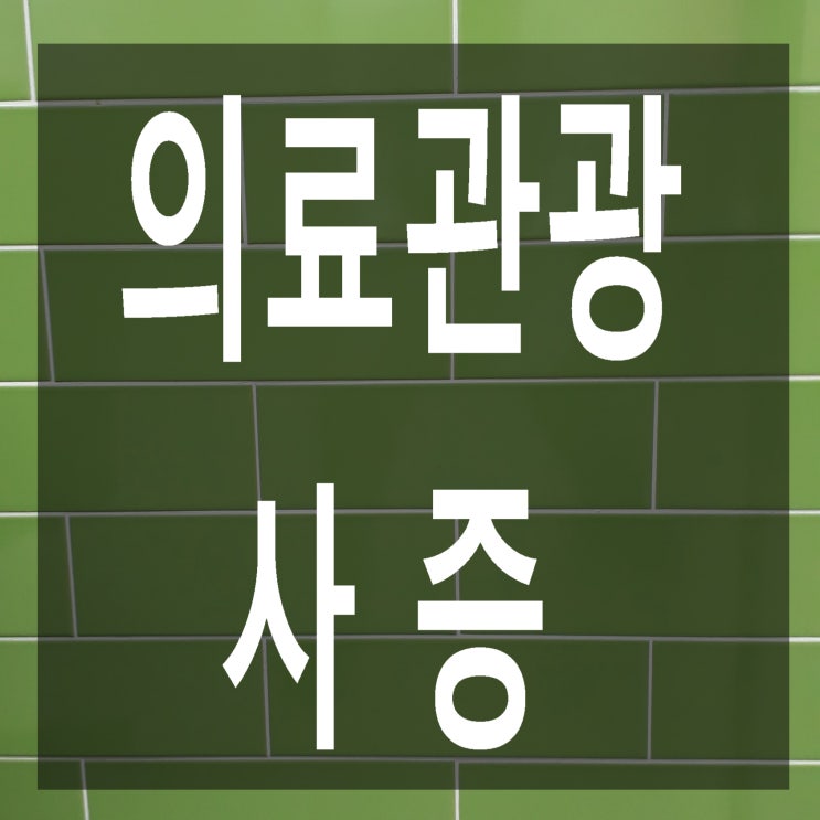  외국인 환자와 동반가족 초청 의료관광(C-3-3)사증과 외국인 환자 유치기관 등록