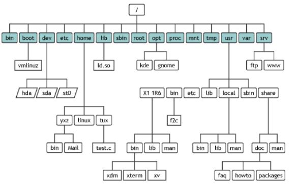  [Linux] 파일 종류와 디렉터리 구조