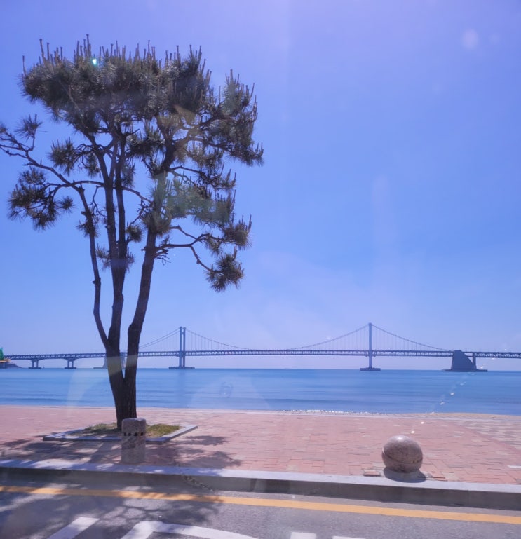  벌써 광안리 바닷가에 사람들 모이네요