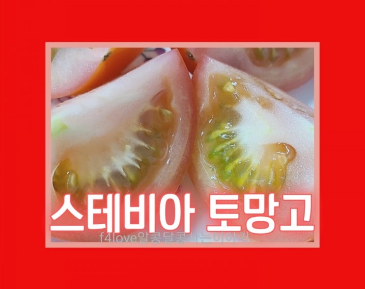 [내돈내산]스테비아 토마토 토망고~호불호 갈리는맛(ft.스테비아 장단점,칼로리)