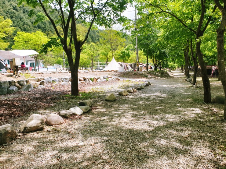  은빛물결캠핑장 3박 4일 어린이날 캠핑