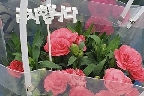 수정꽃마을 이미지