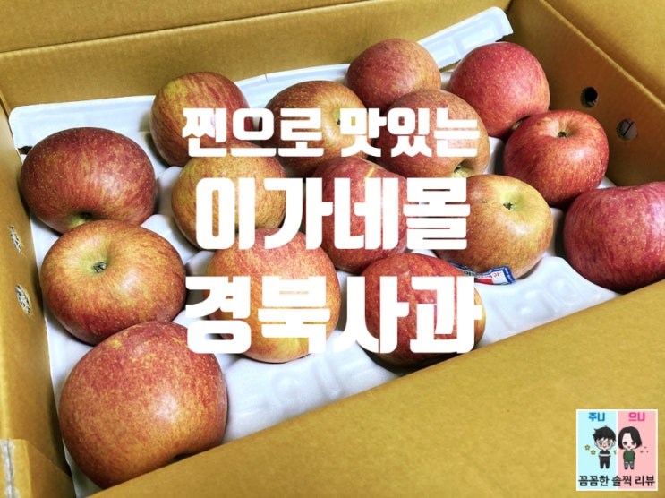  [이가네몰 가정용사과/경북사과] 저렴하고 맛있는 택배사과!+사과보관법