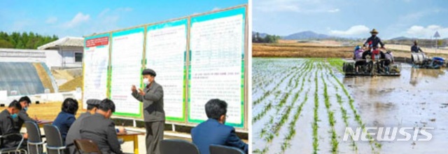 <b>북한</b>. "<b>모내기</b> 전투 시작...식량 자급자족이 최선의 방략."