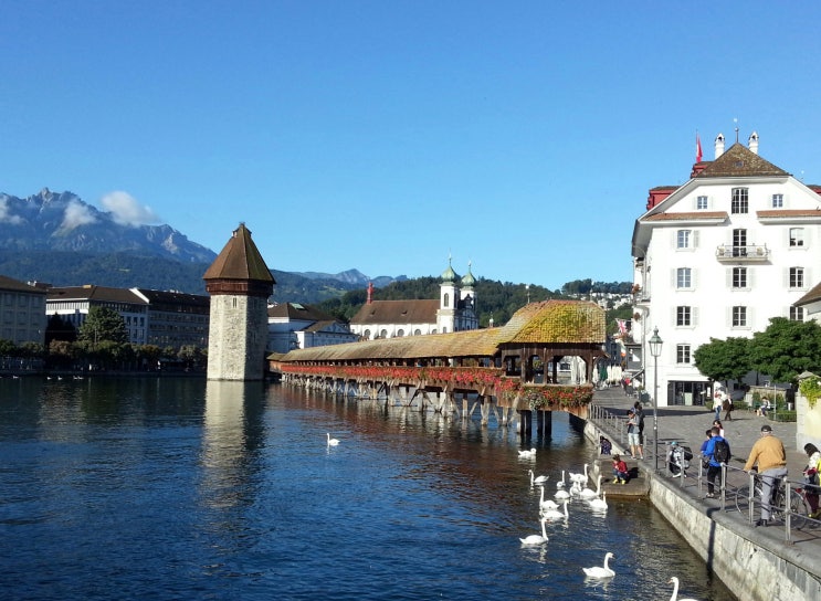  스위스 여행 1 : 루체른Luzern 주말플리마켓+리기(Rigi)산