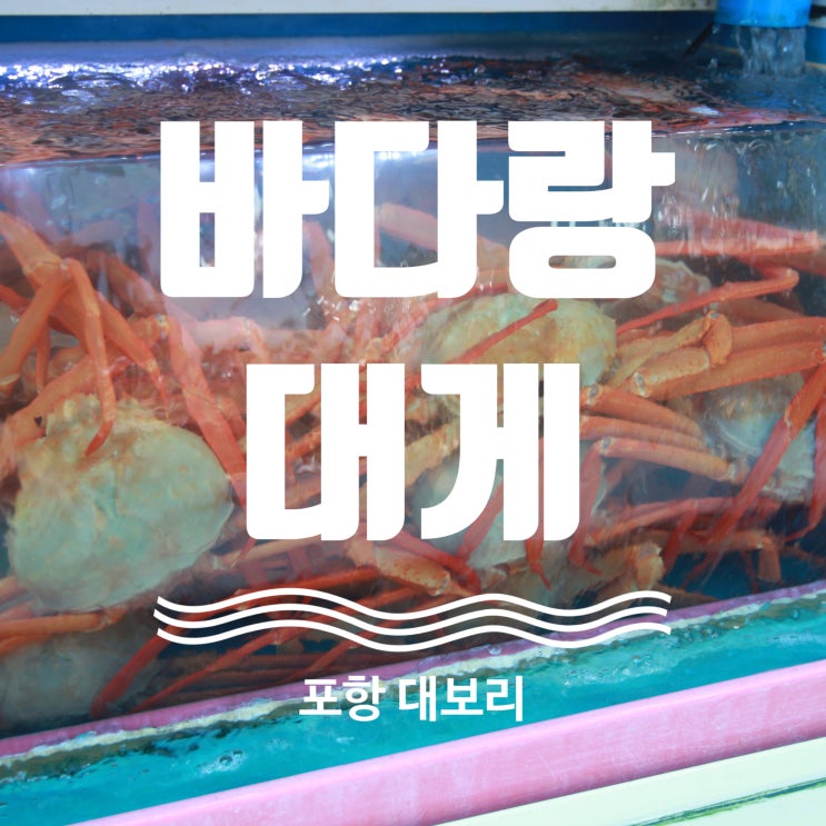  포항 호미곶 맛집 바다랑대게 나들이 추천