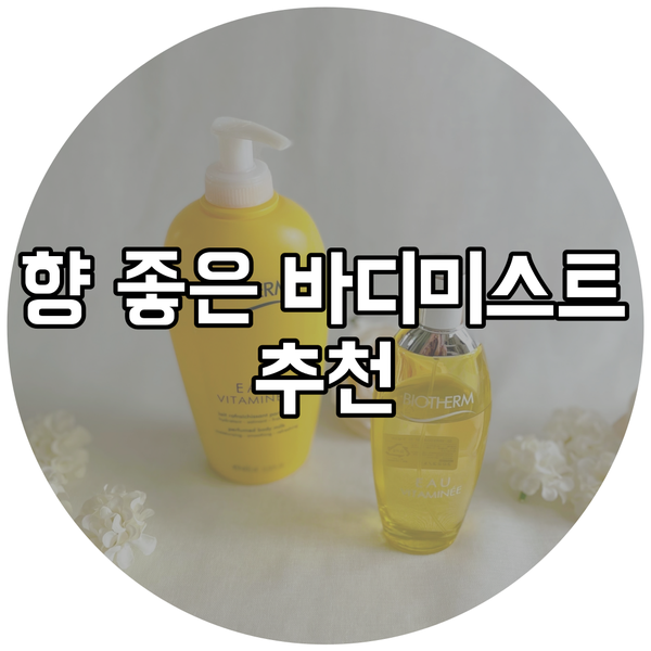  향 좋은 바디미스트 추천