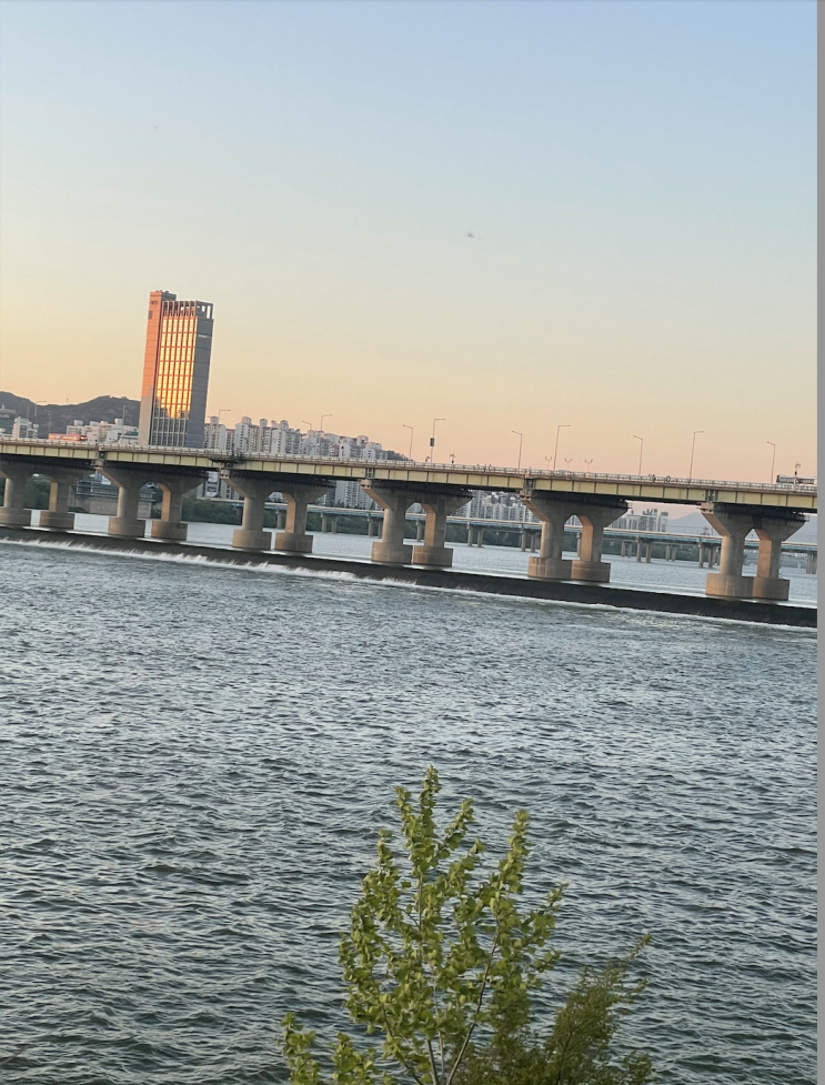  일요일 저녁후 한강 걷기(feat, 건물사이 롯데타워)