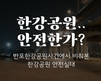 [의대생 실종사건]한강공원 안전한가? 안심귀가의 시선에서 한강공원 안전실태분석